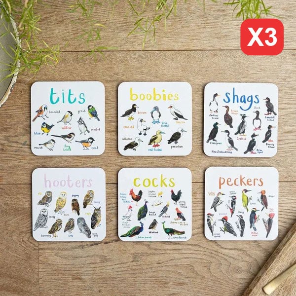 Last Day 49% OFF🐦Set of 6 Bird Pun Coasters