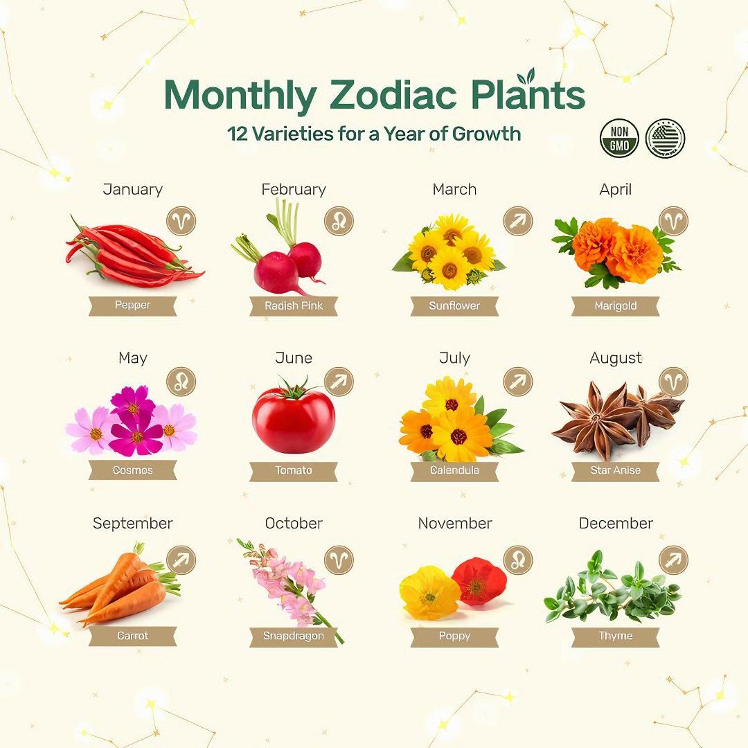 🔥Last Day 49% OFF -💥Zodiac Seed Bank with Moon Calendar Gardening Gift 🌙 Moon-Guided Gardening Instructions Included