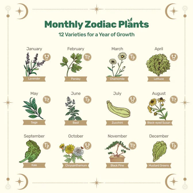 🔥Last Day 49% OFF -💥Zodiac Seed Bank with Moon Calendar Gardening Gift 🌙 Moon-Guided Gardening Instructions Included