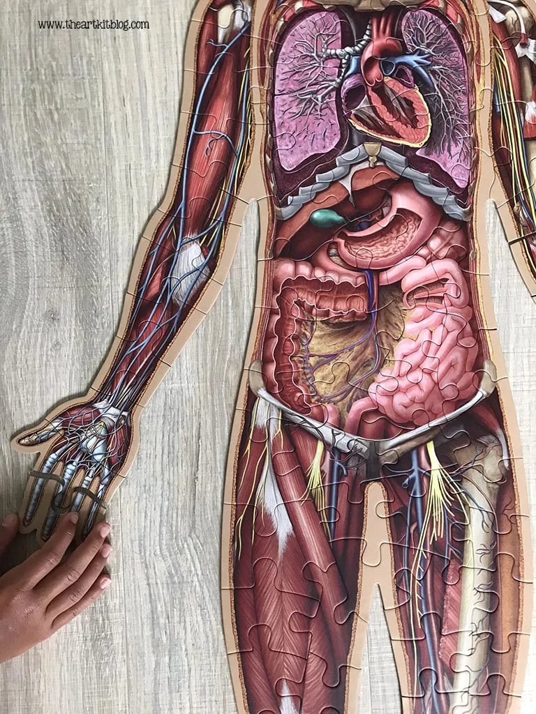 Kid's 100 Piece Human Body Floor Puzzle