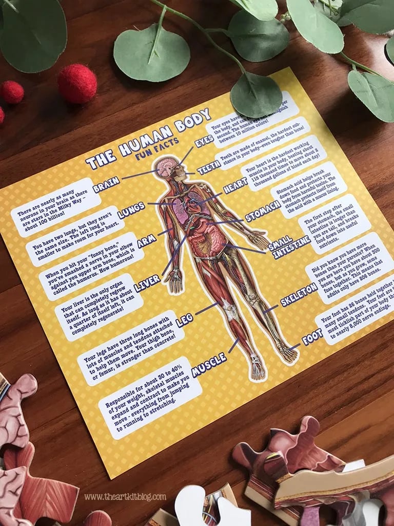 Kid's 100 Piece Human Body Floor Puzzle