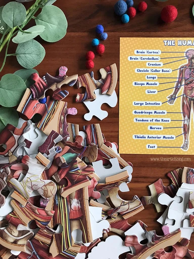 Kid's 100 Piece Human Body Floor Puzzle