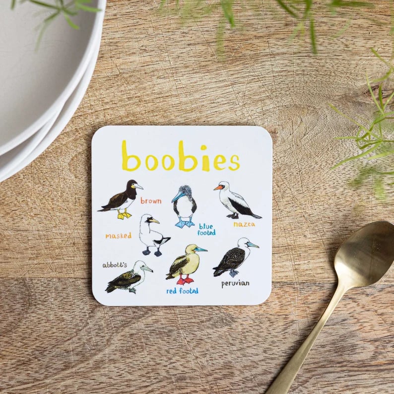 Last Day 49% OFF🐦Set of 6 Bird Pun Coasters