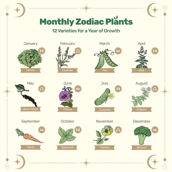 🔥Last Day 49% OFF -💥Zodiac Seed Bank with Moon Calendar Gardening Gift 🌙 Moon-Guided Gardening Instructions Included