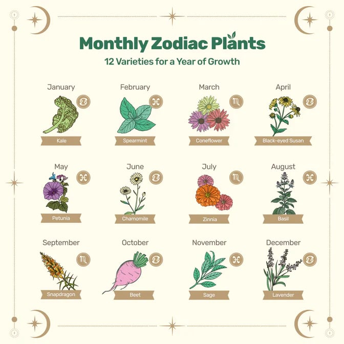 🔥Last Day 49% OFF -💥Zodiac Seed Bank with Moon Calendar Gardening Gift 🌙 Moon-Guided Gardening Instructions Included