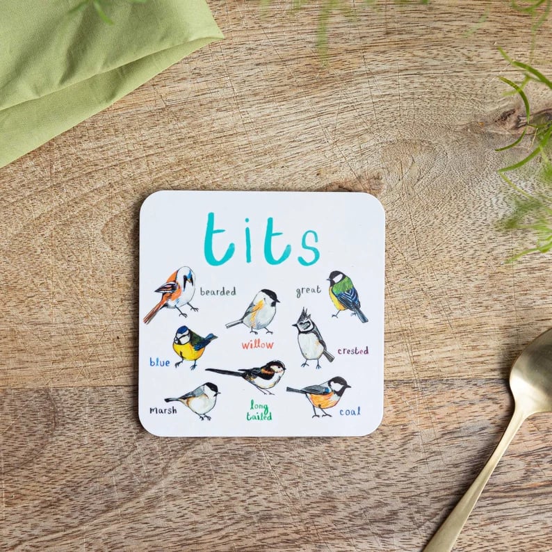 Last Day 49% OFF🐦Set of 6 Bird Pun Coasters