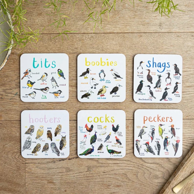 Last Day 49% OFF🐦Set of 6 Bird Pun Coasters