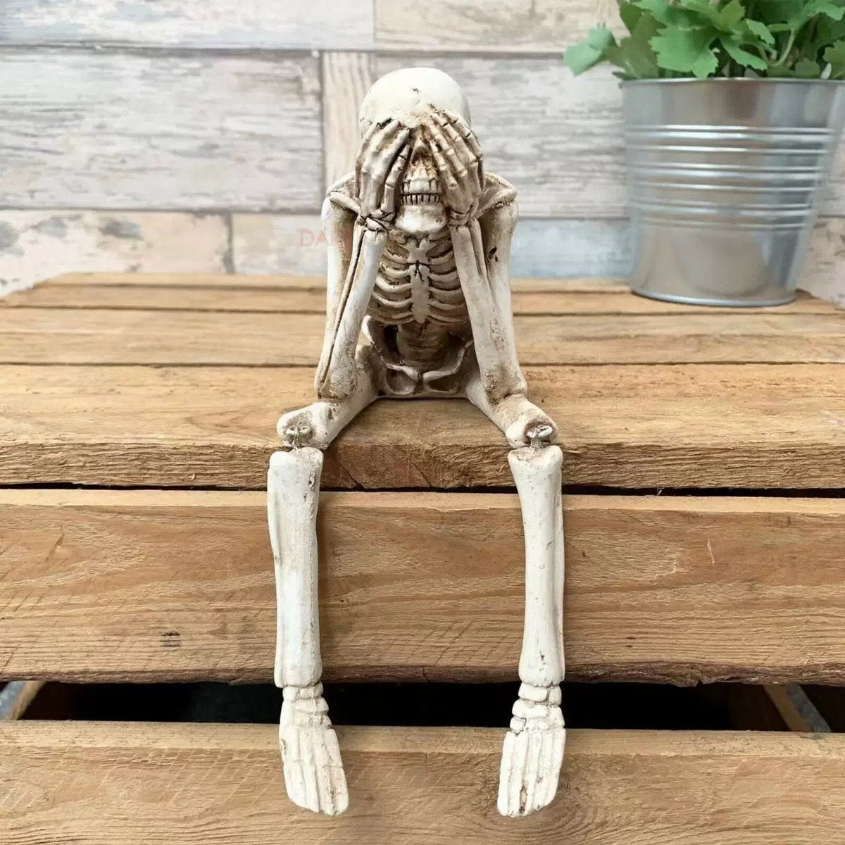 🔥LAST DAY 49% OFF🔥See Speak Hear No Evil Skeleton Figurines