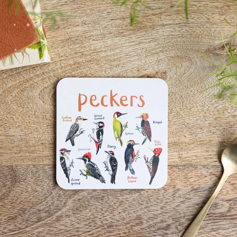 Last Day 49% OFF🐦Set of 6 Bird Pun Coasters