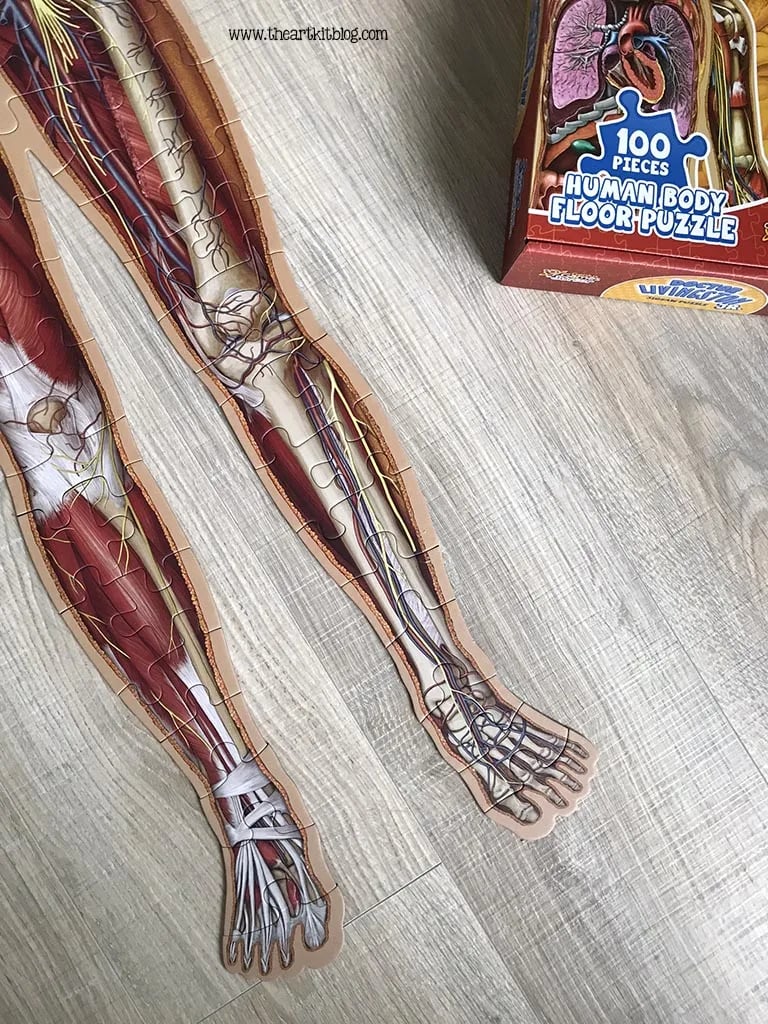Kid's 100 Piece Human Body Floor Puzzle