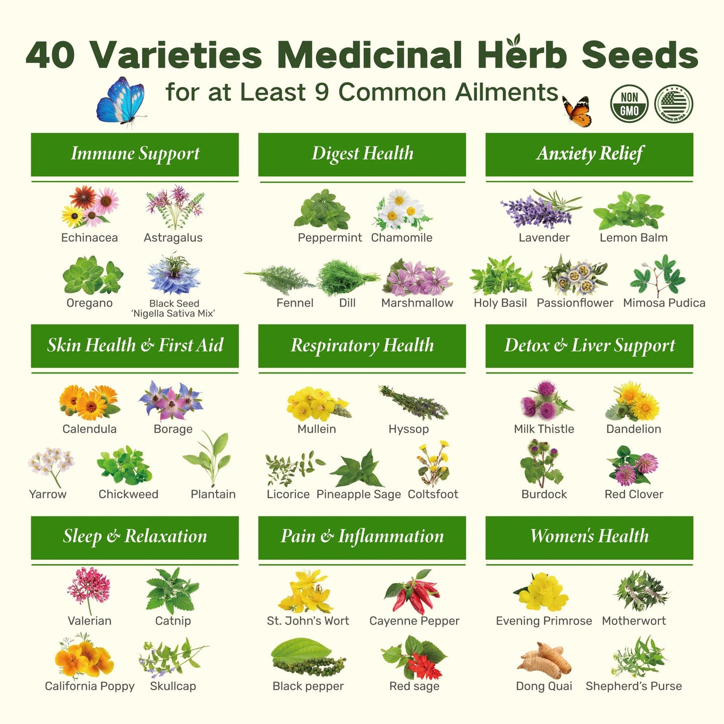 Last Day Flash Sale-60% OFFš„The Forgotten Apothecary Seed Chest - 40 Varieties of Medicinal Herb Seeds