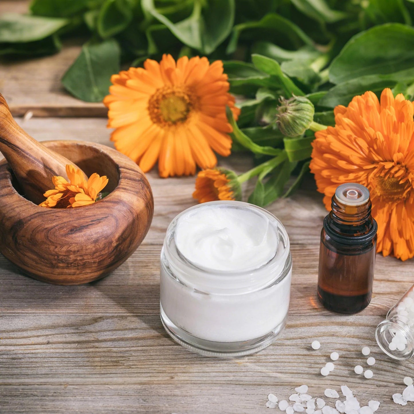Last Day Flash Sale-60% OFFš„The Forgotten Apothecary Seed Chest - 40 Varieties of Medicinal Herb Seeds