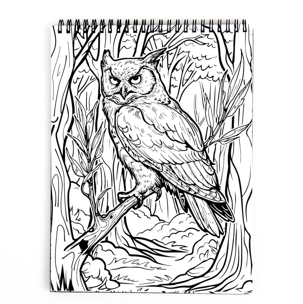 🔥LAST DAY 49% OFF - 👻🌃Waiting for the Night Coloring Book(✨Hardcover)