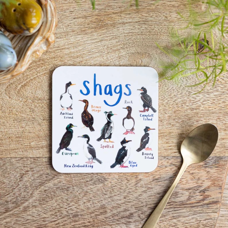Last Day 49% OFF🐦Set of 6 Bird Pun Coasters