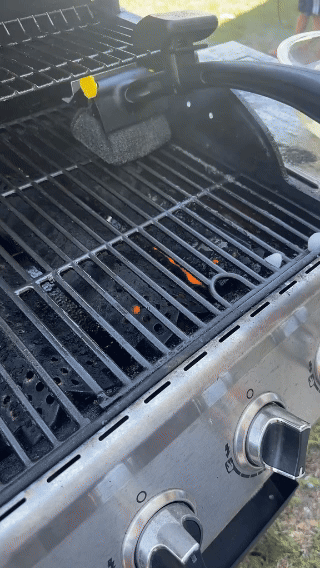 Steam Grill Brush