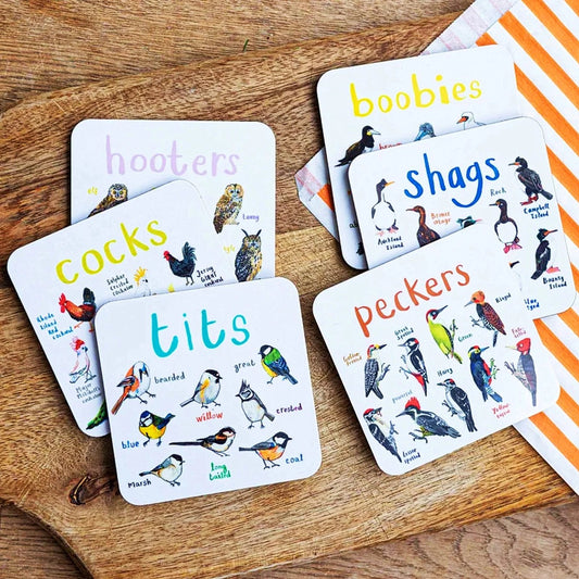 Last Day 49% OFF🐦Set of 6 Bird Pun Coasters