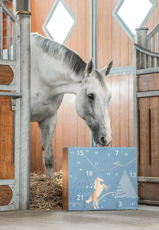 HORSE Advent Calendar 2025
